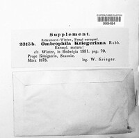 Kriegeria kriegeriana image